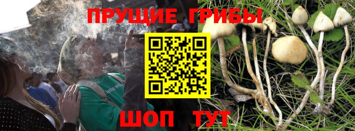 Костомукша  Галлюциногенные грибы Cubensis  Галлюциногенные грибы прущие грибы  Вход с VPN 