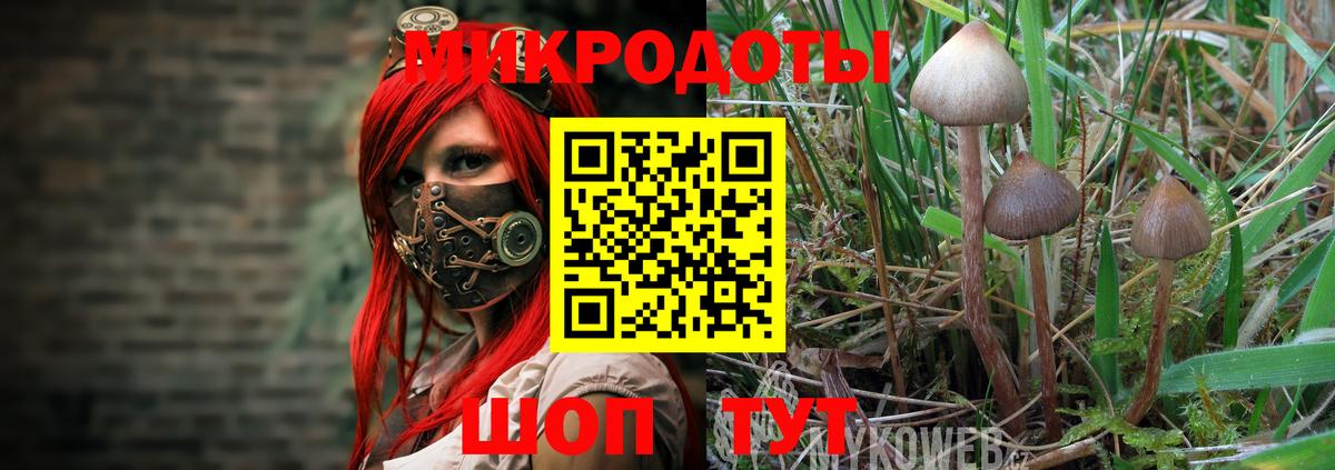 Псилоцибиновые грибы Cubensis Костомукша