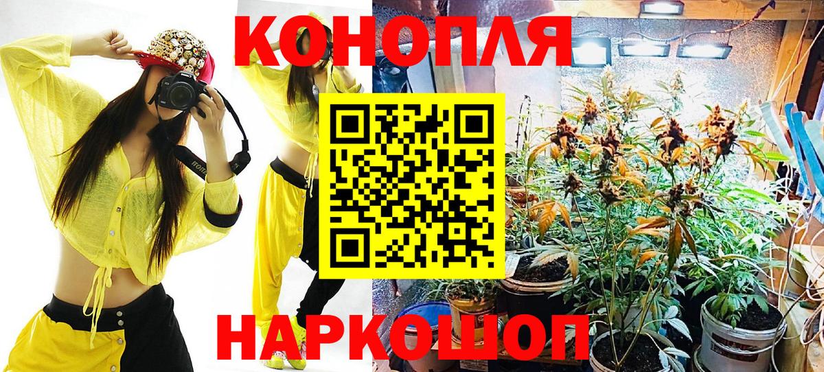 Конопля тримм Костомукша
